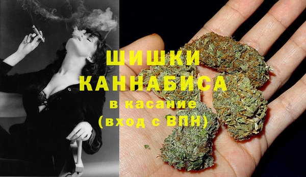ГАЛЛЮЦИНОГЕННЫЕ ГРИБЫ Верхнеуральск