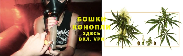 ГАЛЛЮЦИНОГЕННЫЕ ГРИБЫ Верхнеуральск
