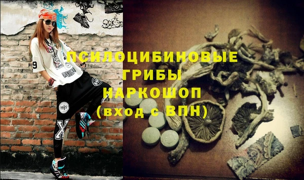 ГАЛЛЮЦИНОГЕННЫЕ ГРИБЫ Верхнеуральск