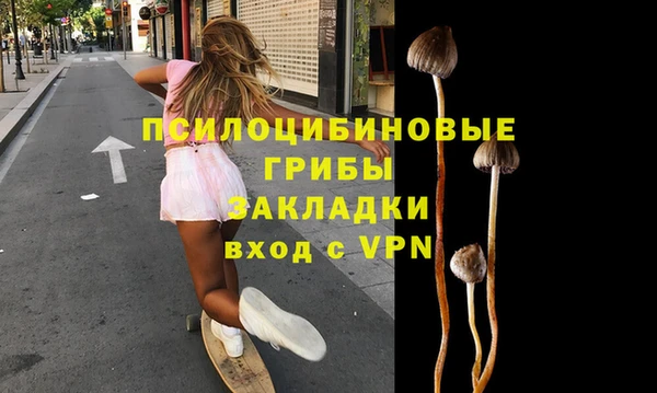 ГАЛЛЮЦИНОГЕННЫЕ ГРИБЫ Верхнеуральск