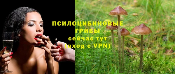 ГАЛЛЮЦИНОГЕННЫЕ ГРИБЫ Верхнеуральск
