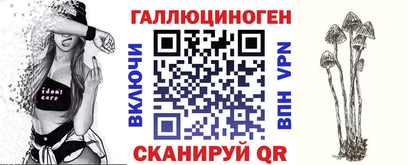 как найти   Новохопёрск  Галлюциногенные грибы мицелий 