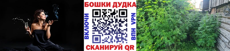 Бошки Шишки Amnesia  купить наркотики сайты  Новохопёрск 
